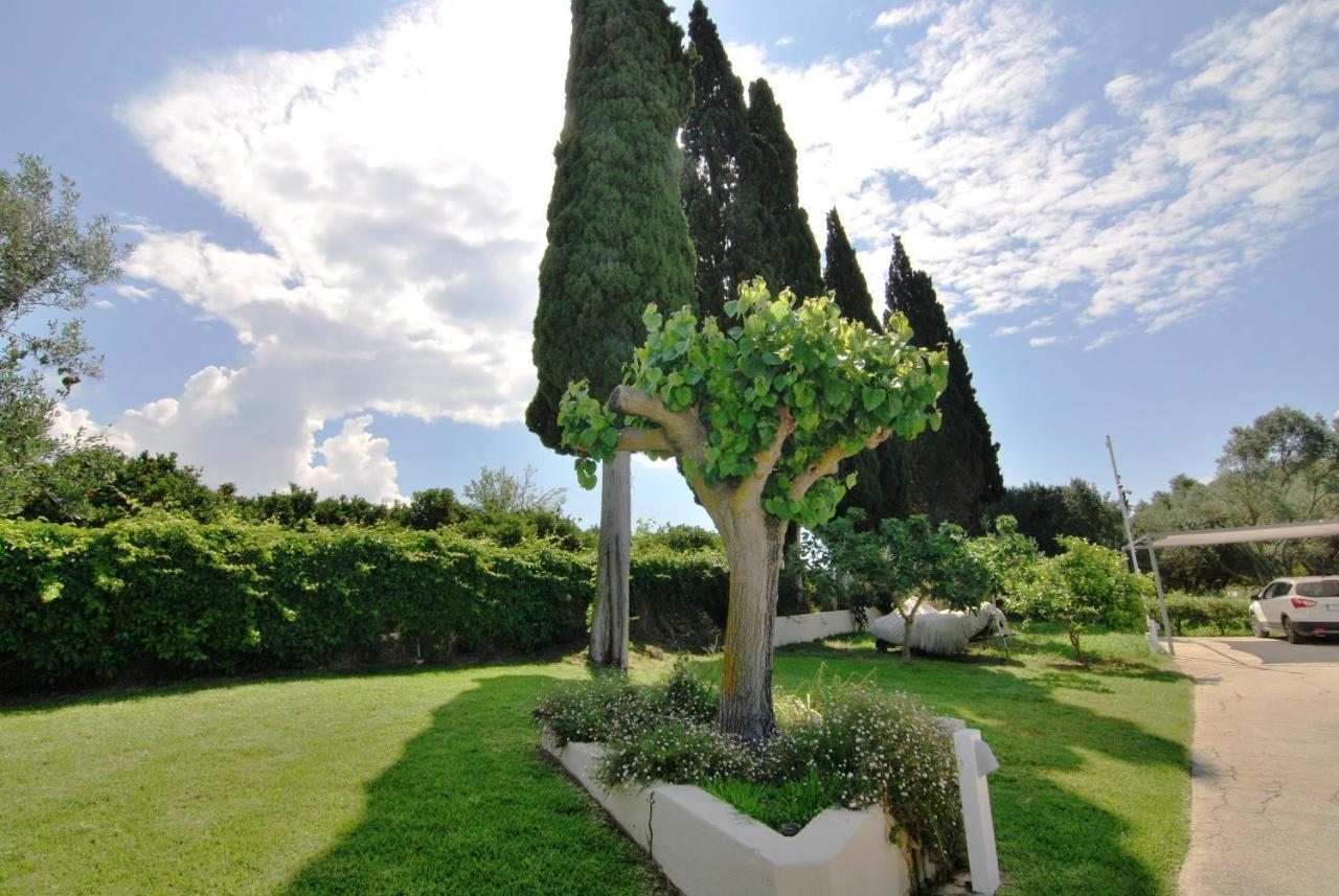 Cypress Garden Villas Σβορωνάτα Εξωτερικό φωτογραφία